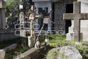 PANTEÓN MUNICIPAL . GATOS