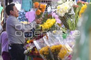 TLAXCALA . FLOR DE CEMPASÚCHIL