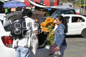 TLAXCALA . FLOR DE CEMPASÚCHIL