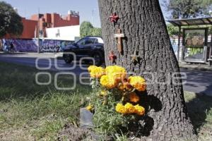 DÍA DE MUERTOS . ACCIDENTADOS