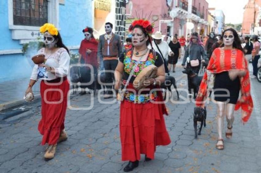 ATLIXCO . CAMINATA CANINA