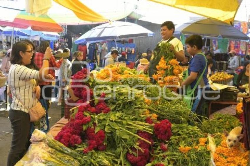 TLAXCALA . FLOR DE CEMPASÚCHIL 