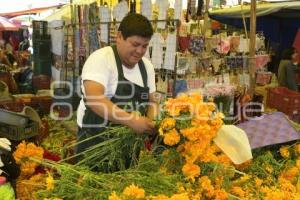 TLAXCALA . FLOR DE CEMPASÚCHIL 