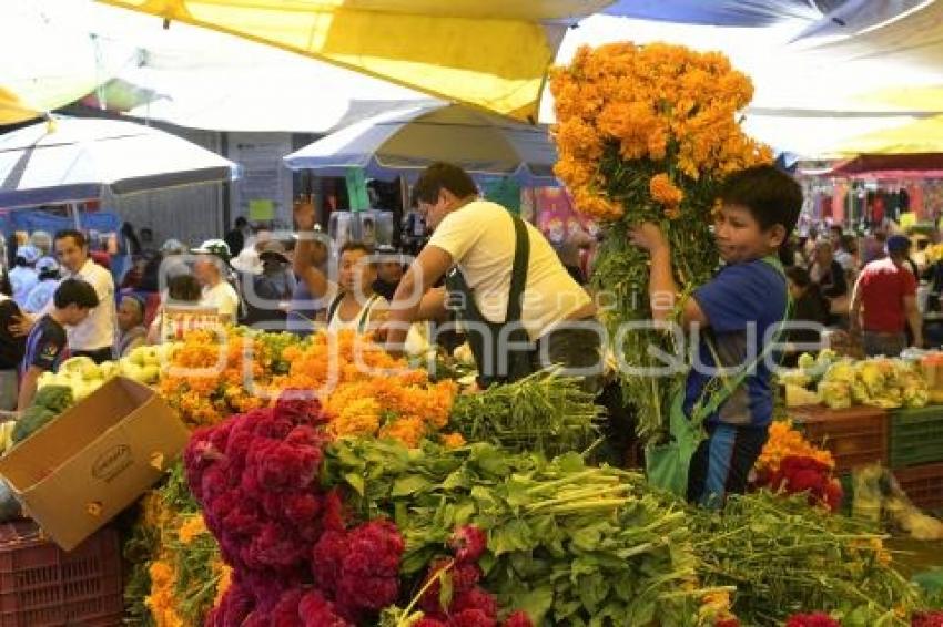 TLAXCALA . FLOR DE CEMPASÚCHIL 