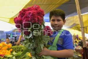 TLAXCALA . FLOR DE CEMPASÚCHIL