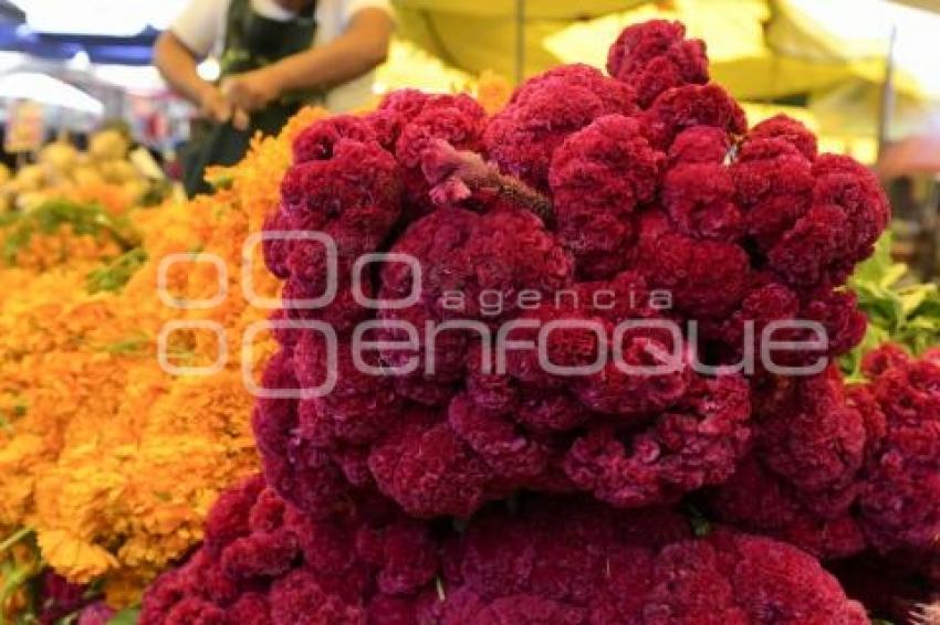 TLAXCALA . FLOR DE CEMPASÚCHIL