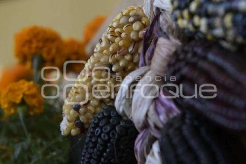 TLAXCALA . DÍA DE MUERTOS . OFRENDA