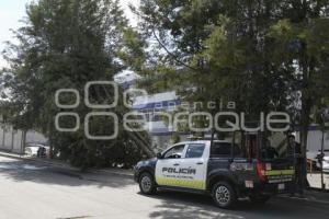 TLAXCALA . SEGURIDAD . ÁRBOL