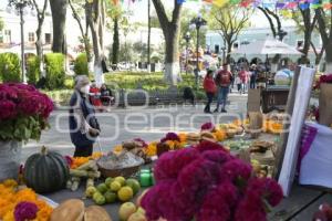 TLAXCALA . OFRENDA MONUMENTAL 