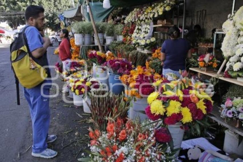 DÍA DE MUERTOS . PREVIO . PANTEÓN