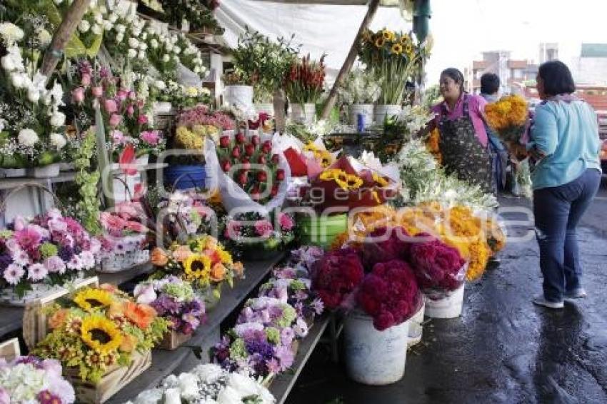 DÍA DE MUERTOS . PREVIO . PANTEÓN