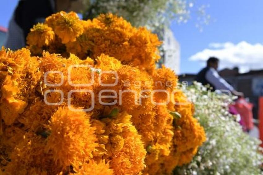 TLAXCALA . DÍA DE MUERTOS