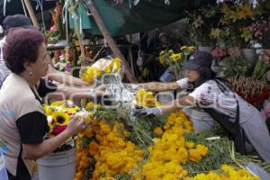 DÍA DE MUERTOS . PANTEÓN