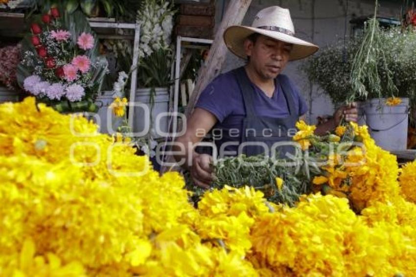 DÍA DE MUERTOS . PANTEÓN