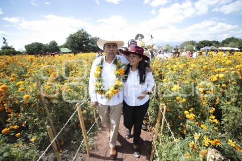 GOBIERNO . VALLE DE CATRINAS