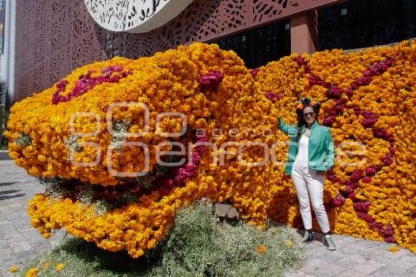 MUSEOS . PASEO DE LAS FLORES