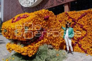 MUSEOS . PASEO DE LAS FLORES