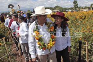 GOBIERNO . VALLE DE CATRINAS