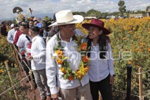 GOBIERNO . VALLE DE CATRINAS