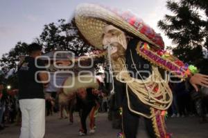 ACATLÁN . TECUANES