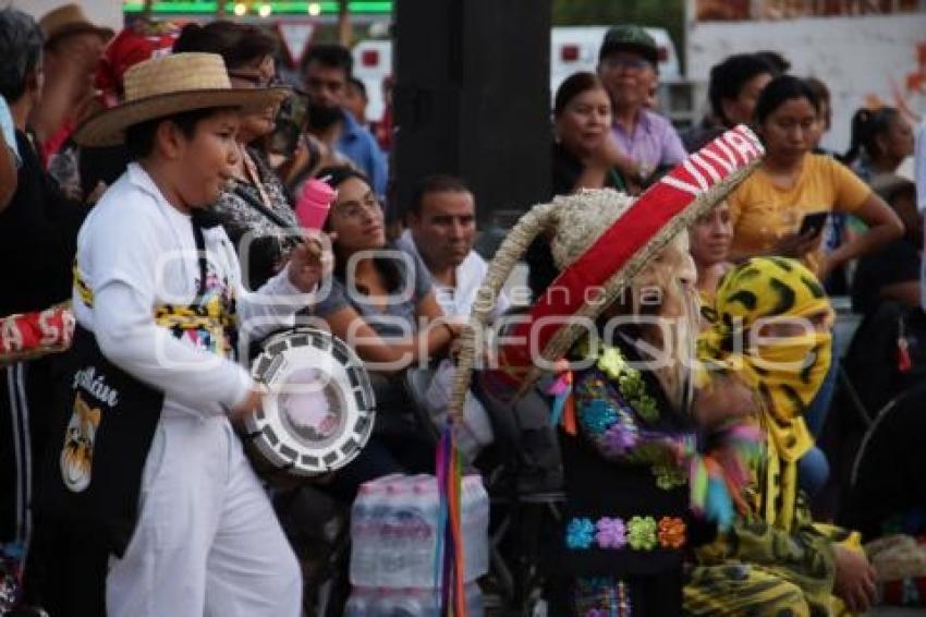 ACATLÁN . TECUANES