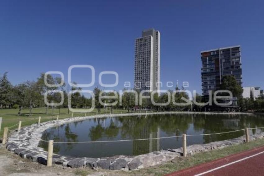 PARQUE DEL ARTE . REHABILITACIÓN