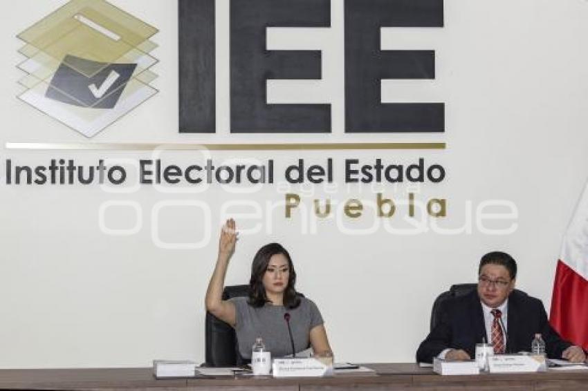 IEE . CONSEJO GENERAL