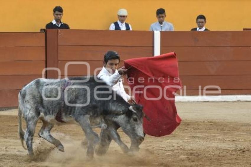 TLAXCALA . TIENTAS PÚBLICAS