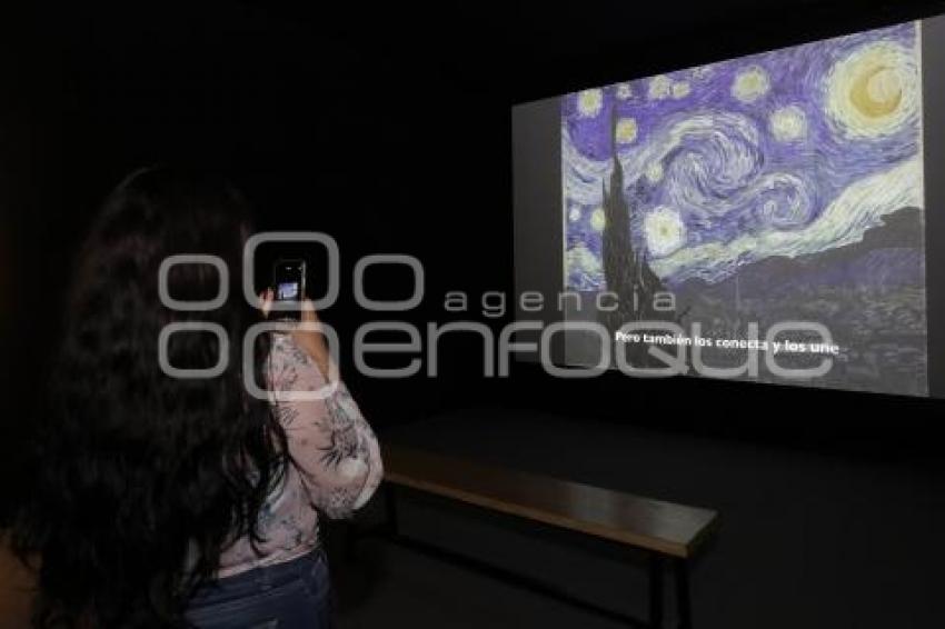 VAN GOGH THE IMMERSIVE EXPERIENCE