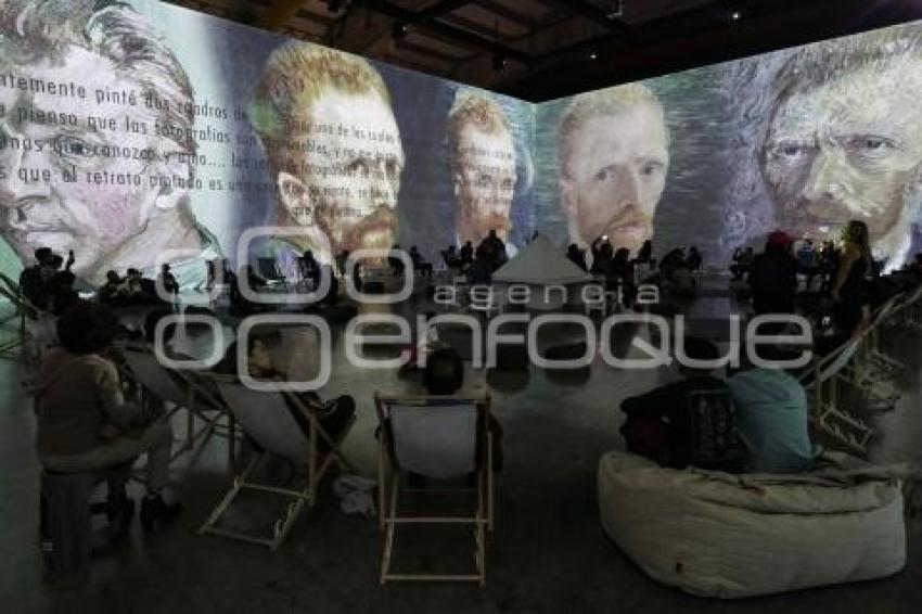 VAN GOGH THE IMMERSIVE EXPERIENCE