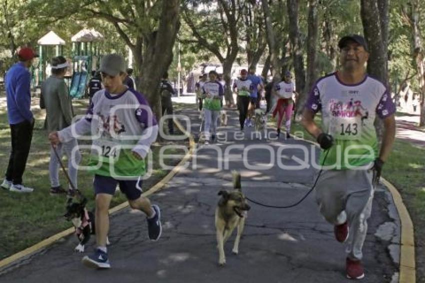 TLAXCALA . CARRERA