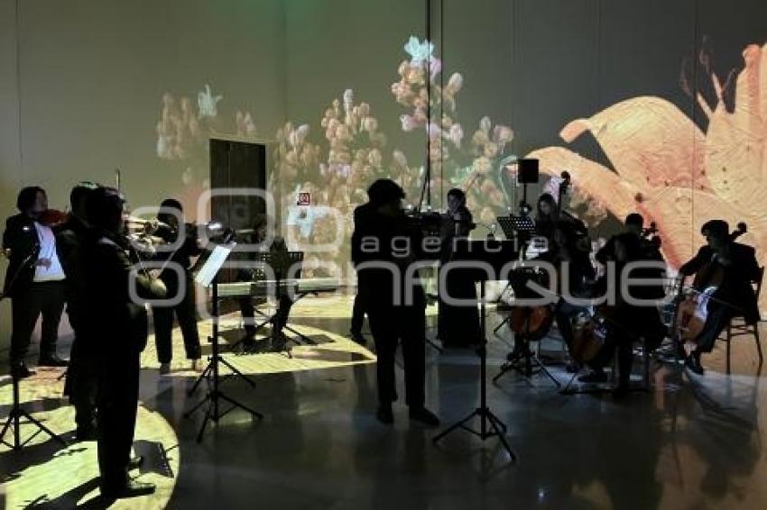 CONCIERTO MUSEO INTERNACIONAL DEL BARROCO