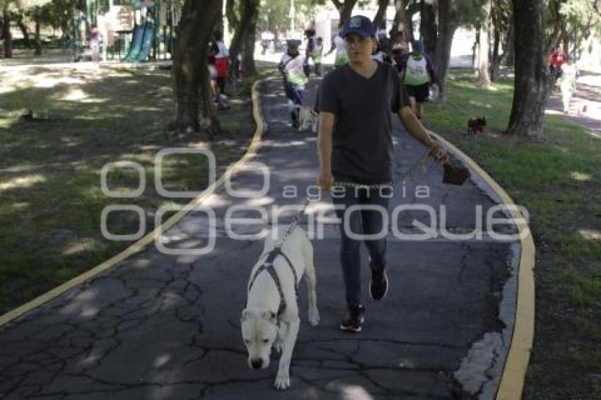 TLAXCALA . CARRERA