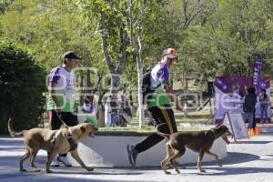 TLAXCALA . CARRERA