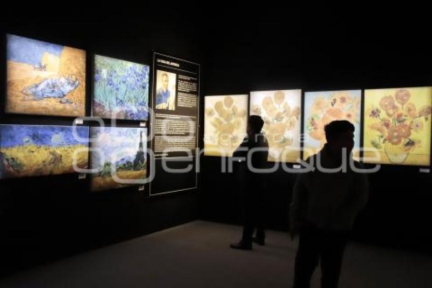 VAN GOGH THE IMMERSIVE EXPERIENCE