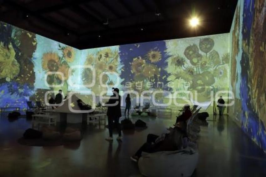 VAN GOGH THE IMMERSIVE EXPERIENCE