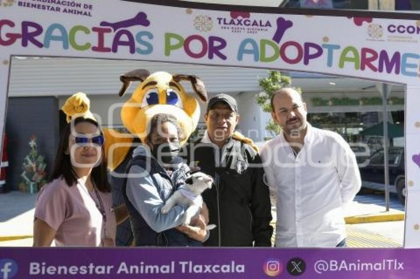 TLAXCALA . ADOPCIÓN PERROS RESCATADO