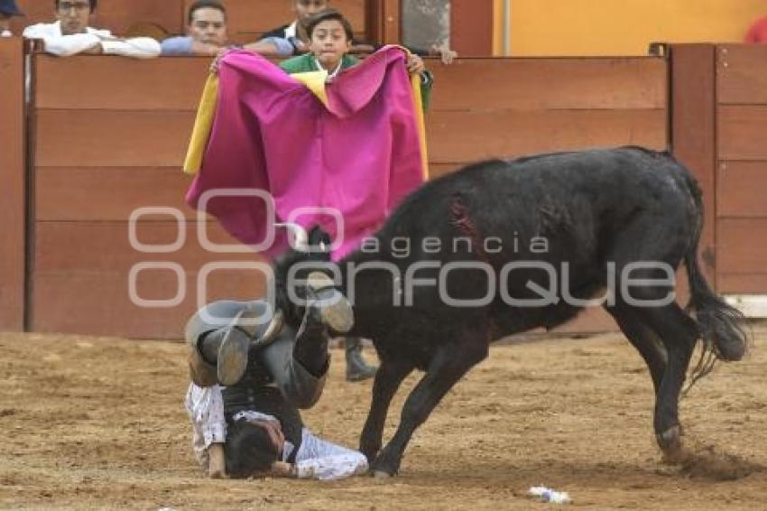 TLAXCALA . TIENTAS PÚBLICAS