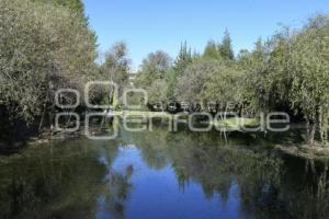 TLAXCALA . ÁREA NATURAL LAS CUEVAS