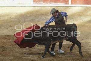 TLAXCALA . TIENTAS PÚBLICAS