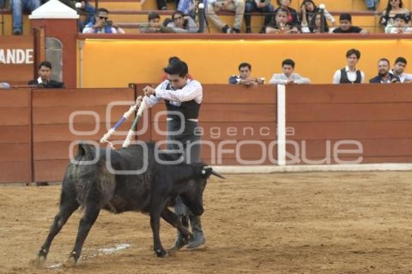 TLAXCALA . TIENTAS PÚBLICAS