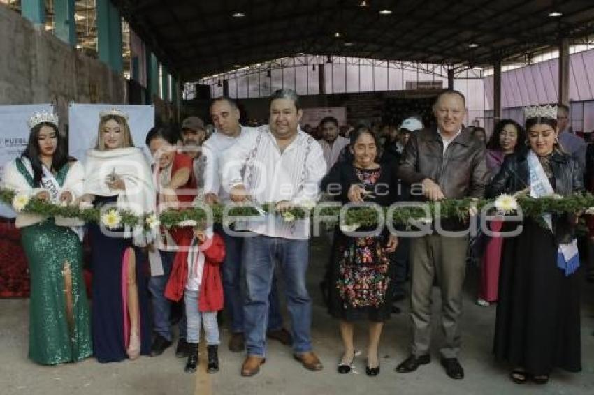 TENANGO . FLOR DE NOCHEBUENA