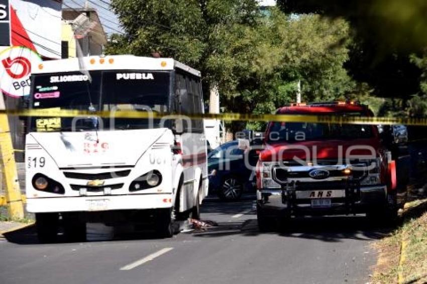 ATROPELLADA . TRANSPORTE PÚBLICO