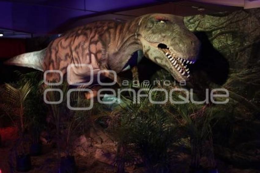 EXPOSICIÓN . DINOSAURIOS ANIMATRONICS