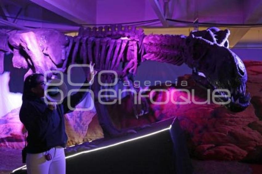 EXPOSICIÓN . DINOSAURIOS ANIMATRONICS