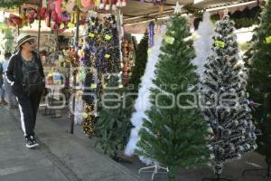 TLAXCALA . PRODUCTOS NAVIDEÑOS