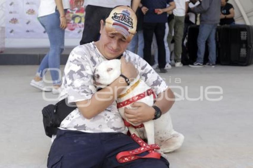 CASA PUEBLA . FERIA DE ADOPCIÓN