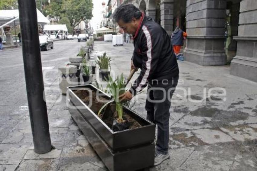 AYUNTAMIENTO . MACETEROS