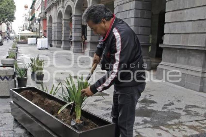 AYUNTAMIENTO . MACETEROS