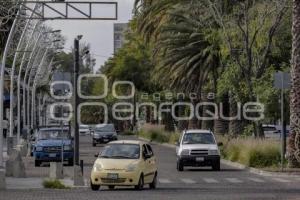 AVENIDA JUÁREZ